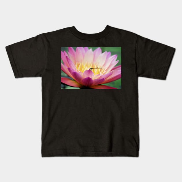 Meditation Wall Art Print - Water Lily and Dragonfly Meditation - canvas, Photo print, artboard print, poster Canvas Print Kids T-Shirt by DigillusionStudio